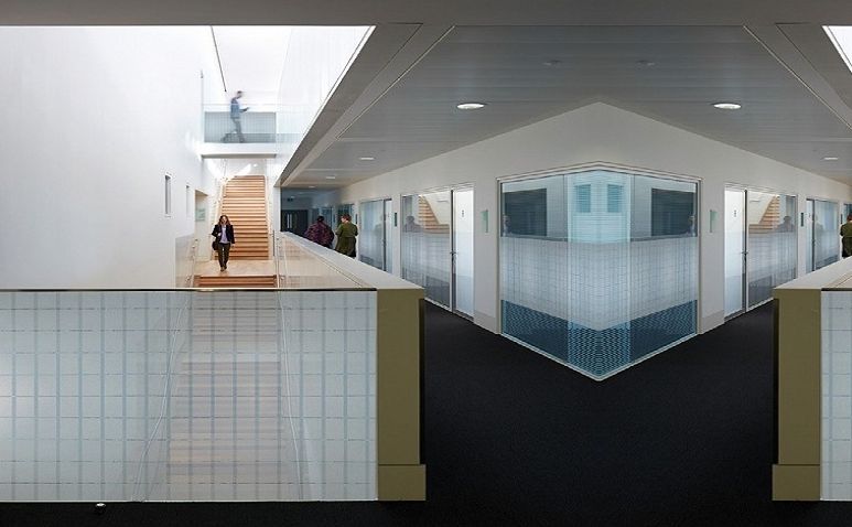 Пленка на окна